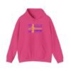 Sweden Flag Cities Hoodie – Cozy Unisex Sweatshirt Featuring Swedish Cities Sizes S to 5XL