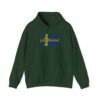 Sweden Flag Cities Hoodie – Cozy Unisex Sweatshirt Featuring Swedish Cities Sizes S to 5XL
