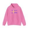 Sweden Flag Cities Hoodie – Cozy Unisex Sweatshirt Featuring Swedish Cities Sizes S to 5XL