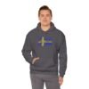 Sweden Flag Cities Hoodie – Cozy Unisex Sweatshirt Featuring Swedish Cities Sizes S to 5XL